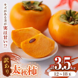 【ふるさと納税】【先行予約】【訳あり】太秋柿 約3.5kg 家庭用 甘柿 柿 かき 果物 フルーツ デザート スイーツ 秋の味覚 産地直送 山都町産 【大浜農園】[YCE002] 10000 10,000 10000円 10,000円 1万円