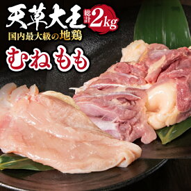 【ふるさと納税】【数量限定】熊本県産 天草大王 地鶏 計2kg ( もも ・ むね ) 各1kg 鶏肉 小分け 国産【あそ大王ファーム株式会社】[YCF002] 22000 22,000 22000円 22,000円