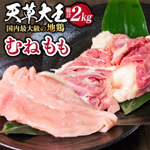 yӂ邳Ɣ[ŁzyʌzF{Y V剤 n{ v2kg (  E ނ ) e1kg {  Y BY Rs  ނ Zbg n{ Ƃɂy剤t@[Ёz[YCF002]