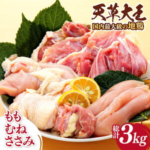 yӂ邳Ɣ[ŁzyʌzF{Y V剤 n{ v3kg (  E ނ E  ) e1kg {  Y BY Rs  ނ  Zbg lߍ킹 n{ Ƃɂy剤t
