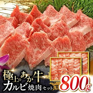 yӂ邳Ɣ[ŁzJrēZbg 800g yL O{Yz[YCG104]