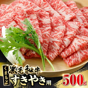 yӂ邳Ɣ[Łz܂ƍјa ₫p 500g Ă ₫ Ԃ XCX Ⓚ Y BY F{Y Rs  a  ق ґ uh uha yR