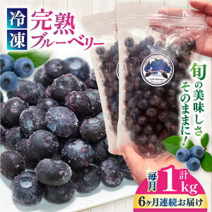 yӂ邳Ɣ[ŁzyS6ցz{̔̂܂܁IⓀ nu[x[ v1kg (500g×2pbN) u[x[ Ⓚt[c ʕ  t[c t[Yu[x[ n 