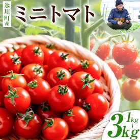 【ふるさと納税】＼6月8日まで／ミニトマト 約1kg 約2kg 約3kg 6月 6月発送 氷川アグリクラブ トマト 熊本《5月上旬-6月末頃出荷》熊本県 氷川町 野菜 熊本県産 楽天スーパーSALE サラダ プチトマト 国産