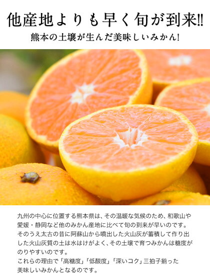 【ふるさと納税】晩白柚2L(2玉入)熊本県氷川町産晩白柚柑橘《12月上旬〜3月末頃より順次出荷》
