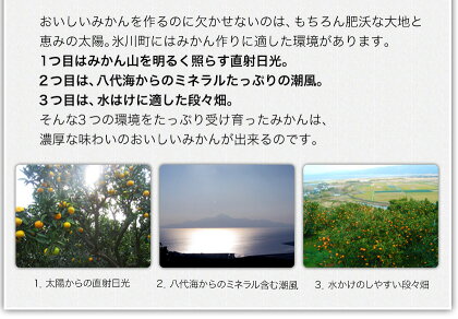 【ふるさと納税】晩白柚2L(2玉入)熊本県氷川町産晩白柚柑橘《12月上旬〜3月末頃より順次出荷》