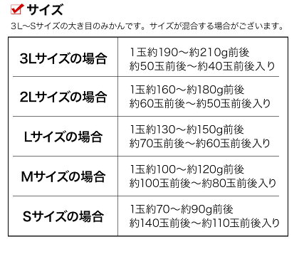 【ふるさと納税】晩白柚2L(2玉入)熊本県氷川町産晩白柚柑橘《12月上旬〜3月末頃より順次出荷》