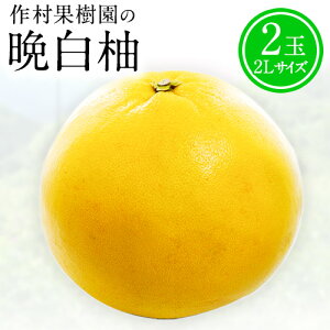 yӂ邳Ɣ[Łzys\zt[c { t[c ӔM Ԍ 쑺ʎ̔ӔM 2(2LTCY) s12{-1oׁtʕ t[c U{ F{ Yi