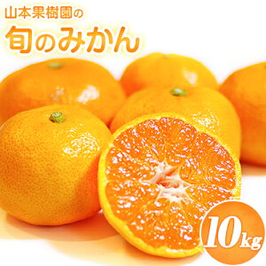 yӂ邳Ɣ[Łz݂ { ݂ t[c ݂ԌR{ʎ̏{݂̂ 10kg R{ʎs9{-2oׁt k Ђ̂  L@㑁  {̕i