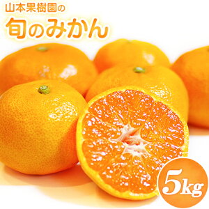 yӂ邳Ɣ[ŁzR{ʎ̏{݂̂ 5kg R{ʎs9{-2oׁt k Ђ̂  L@㑁  {̕i͂It[c ʕ