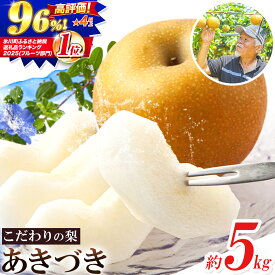 【ふるさと納税】梨 あきづき 福岡農園 こだわりの梨 あきづき 約5kg 《9月上旬-9月下旬頃出荷予定》熊本県 氷川町 ナシ 秋 旬 熊本 フルーツ お取り寄せ 無袋栽培 送料無料 旬の梨 フルーツ梨 あきづき 約5kg nashi あきづき 旬