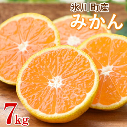 【ふるさと納税】晩白柚2L(2玉入)熊本県氷川町産晩白柚柑橘《12月上旬〜3月末頃より順次出荷》