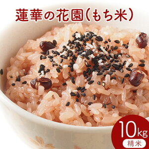 yӂ邳Ɣ[Łz@؂̉ԉ() 10kg  JAJg[pg F{ X쒬s30ȓɏoח\(yj)t