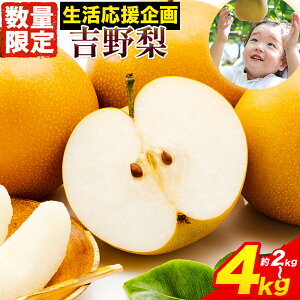 yӂ邳Ɣ[ŁzY҉  Ȃ F{Y g엜 {̕i͂ 2kg 3kg 4kg(2`16ʑO) s8{-9oח\t  Ȃ {̗ L Â V V t