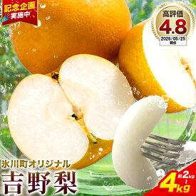【ふるさと納税】★リリース記念★【2026年出荷】梨 なし 熊本県産 吉野梨 旬の品種をお届け 約2kg 約3kg 約4kg(2〜16玉前後) 《8月上旬-9月末頃出荷》 梨 なし 旬の梨 豊水梨 あきづき梨 新高梨 新興梨 フルーツ 熊本県産梨 9000円 nashi フルーツ 夏 果物 ブランド梨