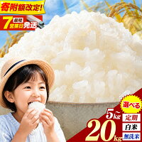 ふるさと納税 無洗米 米 訳あり 米 ふるさと納税 お米 精米 5kg 1...