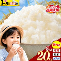 ふるさと納税 無洗米 米 訳あり 米 ふるさと納税 お米 精米 5kg 1...
