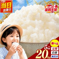 ふるさと納税 無洗米 米 訳あり 米 ふるさと納税 お米 精米 5kg 1...