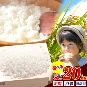 yӂ邳Ɣ[ŁzЂ݂̂  Iׂ F{Y uh 5kg 10kg 15kg 20kg  Iׂ F{Y ӂ邳Ɣ[      ӂ邳Ƃ̂ R  ߁so