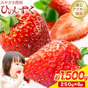 yӂ邳Ɣ[Łz  Ђ̂ 500g ` 1,500g ݂₴_i250g×2`6pbNj  F{   C`S F{ X쒬 s3{-4oׁtF{ X쒬 ʕ 