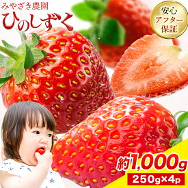 【ふるさと納税】いちご 苺 ひのしずく 約500g 〜 約1,500g みやざき農園（約250g×2〜6パック） 熊本 いちご 苺 イチゴ 熊本県 氷川町 いちご《3月上旬-3月末頃出荷》熊本県 氷川町 果物 フルーツ 先行 予約 アフター保証 ふるさと納税 いちご おすすめ