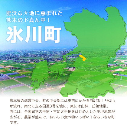 【ふるさと納税】熊本県産若鶏もも肉約2kg×2袋(1袋あたり約300g×7枚)たっぷり大満足!計4kg!《30日以内に順次出荷(土日祝除く)》