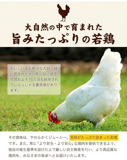 【ふるさと納税】熊本県産若鶏もも肉約2kg×2袋(1袋あたり約300g×7枚)たっぷり大満足!計4kg!《30日以内に順次出荷(土日祝除く)》