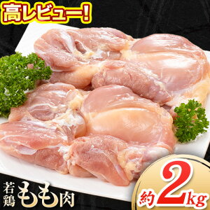 yӂ邳Ɣ[Łze { Iׂ { r[! { 4kg F{Y { 2kg×2 s30ȓɏoח\(yj)t  { { Y ^ Ⓚ Ⓚ  