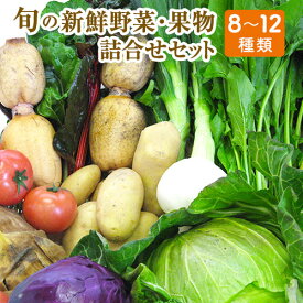 【ふるさと納税】旬の新鮮野菜・果物詰合せセット たっぷり8-12品目 熊本県氷川町産 道の駅竜北《30日以内に出荷予定(土日祝除く)》