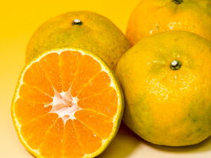 �y�ӂ邳�Ɣ[�Łz�͂₩5kg�@�F�{���Y�݂���