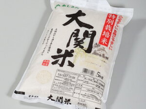 【ふるさと納税】大関米5kg×2袋【令和7年度産】熊本県産 ヒノヒカリ