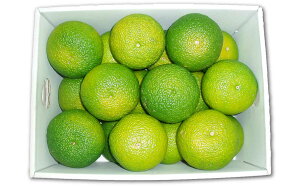 yӂ邳Ɣ[ŁzXC[gXvO@L@3kg