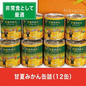 【ふるさと納税】缶詰 フルーツ缶詰 ギフト かんづめ 甘夏 夏みかん みかん 缶切り不要 EO缶 保存食　甘夏みかん缶詰（12缶入）