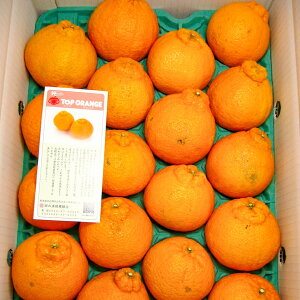 yӂ邳Ɣ[Łzs\@IngbvIW@D@10ʁ@ߘa8N2ȍ~ɔ܂