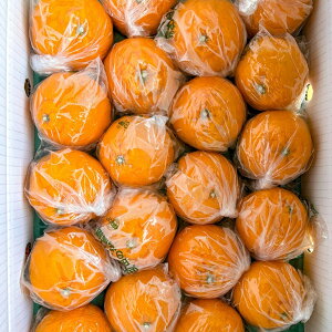 yӂ邳Ɣ[Łzs\@PvX|gbvIW@20ʁ@ߘa8N4ȍ~ɔ܂