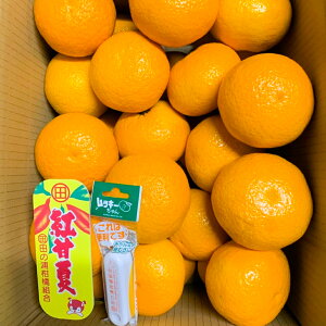 yӂ邳Ɣ[ŁzgÉā@DL@12ʁ@ߘa8N1ȍ~ɔ܂