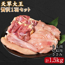 【ふるさと納税】天草大王 贅沢1羽セット 約1.5kg【幻の地鶏】もも・むね・ささみ 各2枚《60日以内に出荷予定(土日祝除く)》 熊本県 葦北郡 津奈木町
