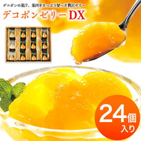 【ふるさと納税】デコポンゼリーDX 24個入《60日以内に出荷予定(土日祝除く)》熊本県 葦北郡 津奈木町 あしきた農業協同組合 JAあしきた 柑橘 デコポン フルーツ 果物 ゼリー ギフト 包装 送料無料