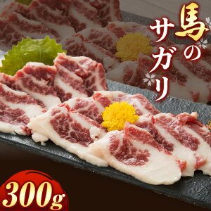 yӂ邳Ɣ[ŁzñTK 300g  s30ȓɏoח\(yj)tF{ kS Óޖؒ nh n  TK 