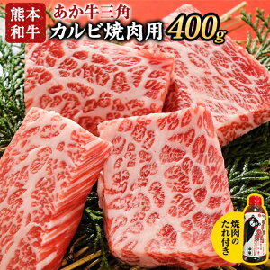 yӂ邳Ɣ[ŁzOpJrēp 400giē̂tj F{ Óޖؒ  ԋ O{Ys30ȓɏoח\(yj)t