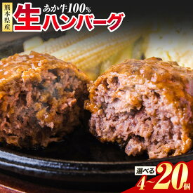 【ふるさと納税】 熊本県産 あか牛 100% 生ハンバーグ 140g×4個 12個 20個 《30日以内に出荷予定(土日祝除く)》熊本県産 あか牛 冷凍 小分け
