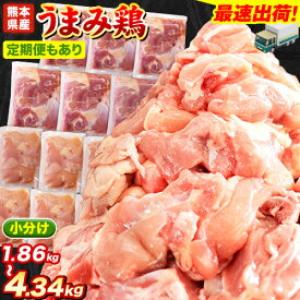 【ふるさと納税】うまみ鶏 鶏肉 上半期ランキング入賞 選べる もも肉 or むね肉 大容量 最大 4kg 以上 定期便 も選べる 便利な 小分けパック 鶏もも肉 鶏むね肉 鶏 もも むね モモ ムネ 若どり 個包装 熊本県産《選べる出荷時期》