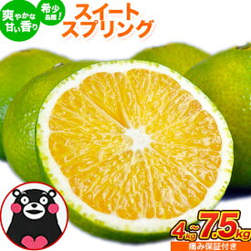 【ふるさと納税】スイートスプリング 4kg 7.5kg 熊本県産 送料無料 旬 の みかん 熊本産 取り寄せ (3L〜Sサイズ/3L-S混合) 《12月下旬～1月下旬出荷》熊本県 津奈木町 柑橘 希少品種 スイートスプリング 柑橘 果物 スイスプ 旬 の みかん 柑橘 温州みかん