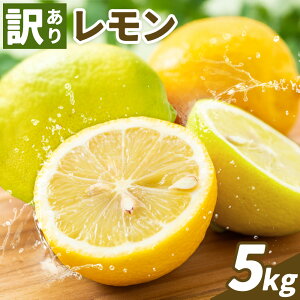 yӂ邳Ɣ[Łz󂠂  Iׂ 3kg 5kgs7-14ȓɏoח\(yj)tF{ Óޖؒ ʕ   ʕ t[c Y ƒp