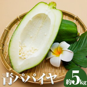 yӂ邳Ɣ[Łz ppC ppC ppCA  N 5kg 䂢킷s9{-12{oׁtF{ kS Óޖؒ Y lC  J[ X` uߕ T_  yf 