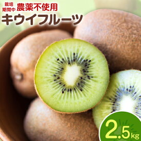 【ふるさと納税】キウイフルーツ 2.5kg ゆいやわす《11月上旬-4月末頃出荷予定(土日祝を除く)》熊本県 葦北郡 津奈木町 キウイ フルーツ 新鮮 食物繊維 国産
