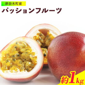【ふるさと納税】【先行予約】津奈木町産 パッションフルーツ 約1kg(12〜16個) つなぎ南興FARM《7月上旬-7月中旬頃出荷》フルーツ 果物 熱帯果樹栽培 バニラアイス ヨーグルト 練乳
