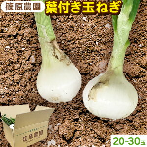 �y�ӂ邳�Ɣ[�Łz�t�t���ʂ˂� 11�`15�ʑO�� 20�`30�ʑO�� ���_���s1����{-3����{���o�ׁt�F�{�� ���k�S �Óޖؒ� ��� ���܂˂� �o�[�x�L���[ �z�C���Ă�