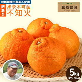【ふるさと納税】先行予約 訳あり 不知火 5kg (M サイズ以上) デコポン と同品種《2026年2月下旬-3月中旬頃出荷》熊本県 葦北郡 津奈木町 篠原農園 訳あり デコポン 青果物 フルーツ みかん