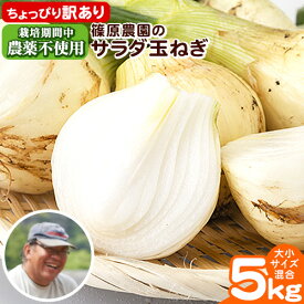 【ふるさと納税】 訳あり 栽培期間中 農薬不使用 サラダ玉ねぎ (S-2Lサイズ) 2kg 5kg 10kg《2月中旬-3月下旬頃出荷》熊本県 葦北郡 津奈木町 篠原農園 野菜 玉ねぎ たまねぎ 自然栽培 大小サイズ混合 ちょっと訳あり